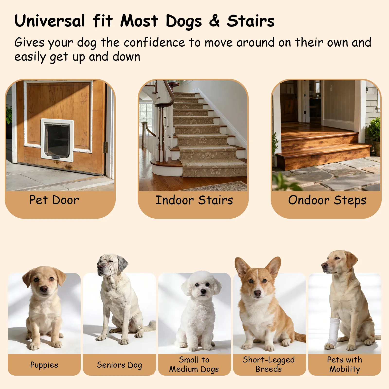 Dog Ramp for Stairs, Low-Angled Pet Stairs Ramps for Small Older Injured Dogs, Medium Dogs, 2 Pack